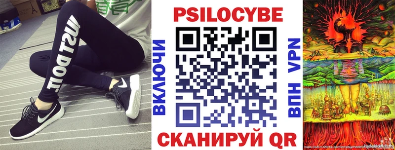 Псилоцибиновые грибы Psilocybine cubensis  Щёлково 
